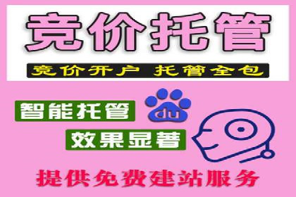 SEM运营公司成功案例解析